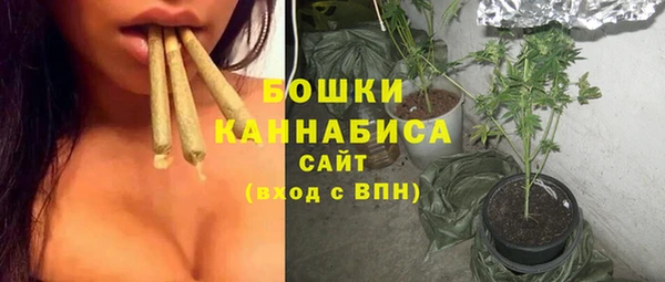 мдпв Михайловск