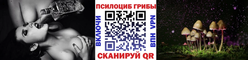 Галлюциногенные грибы GOLDEN TEACHER  Ардон 